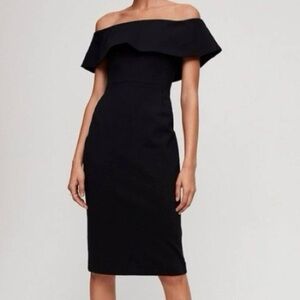 Aritzia Babaton Ruslan dress!